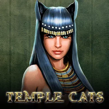 DU88 Temple Cats