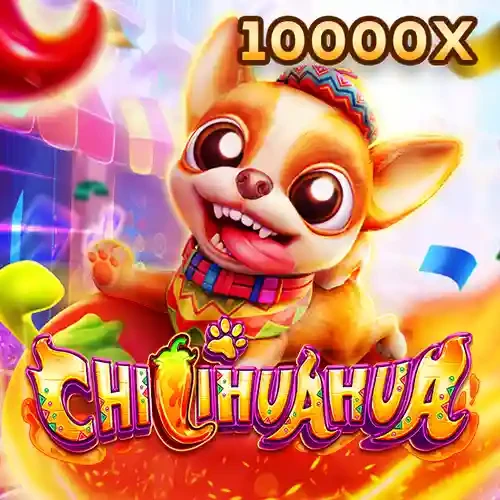 DU88 Chi Hua Hua