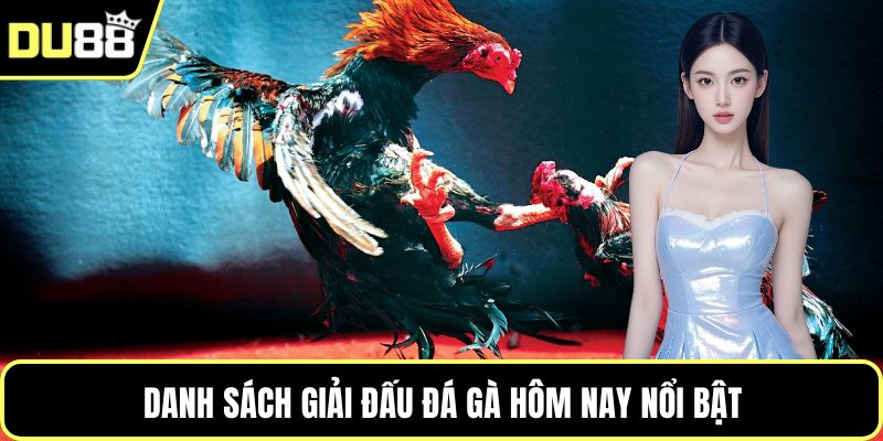 Danh sách giải đấu đá gà hôm nay nổi bật