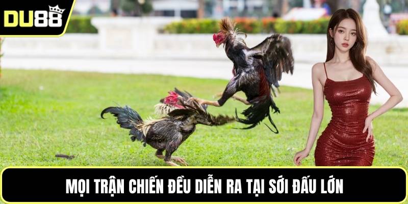 Mọi trận chiến đều diễn ra tại sới đấu lớn