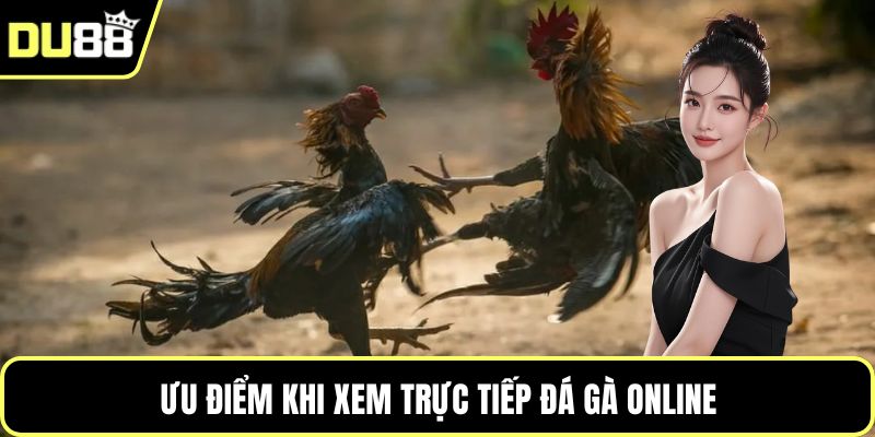 Ưu điểm khi xem trực tiếp đá gà online